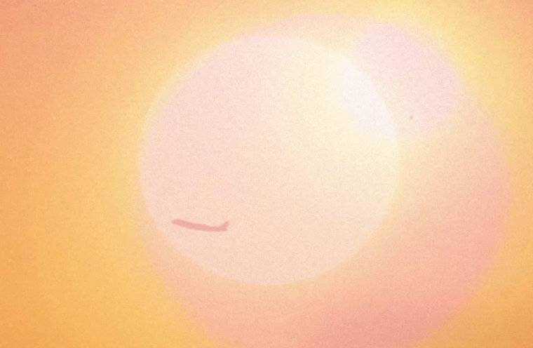 In the Shade of the Sun