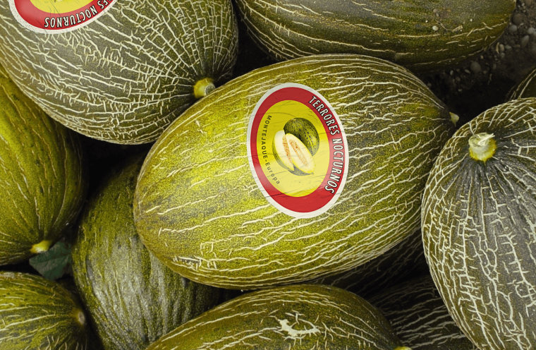 Scary Melons
