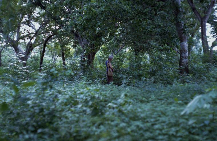El Ruido de las Largas Distancias